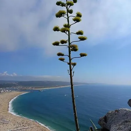 Tipping Point North Beach Bed & Breakfast Nazare